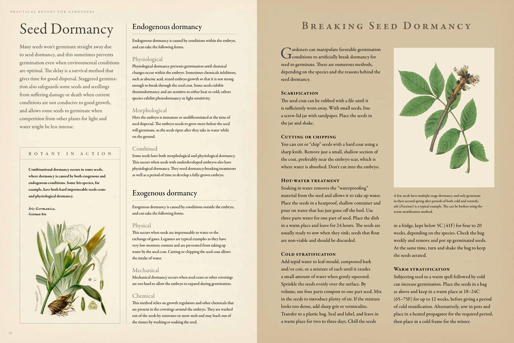 Practical Botany for Gardeners
