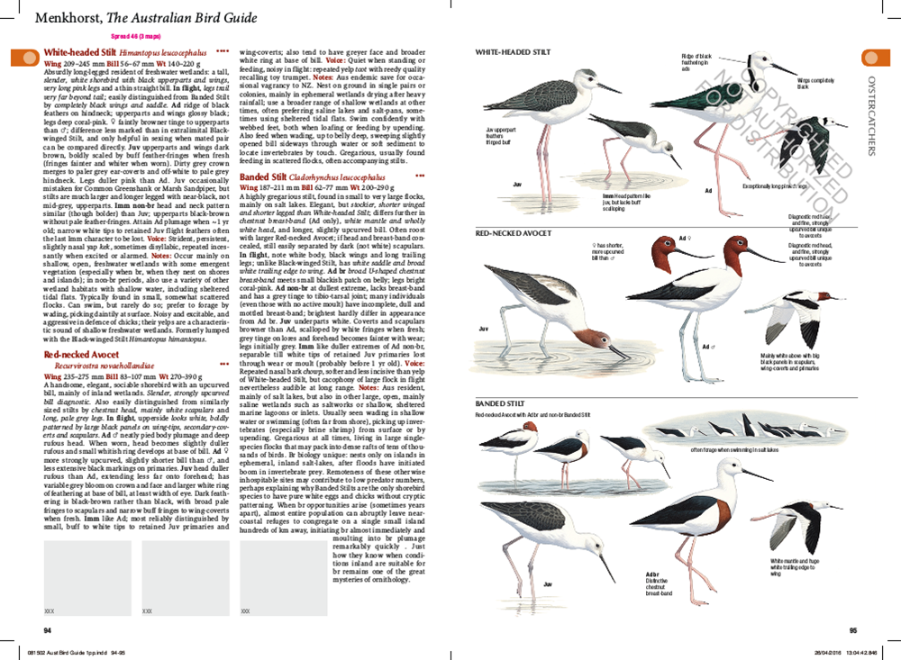 The Australian Bird Guide