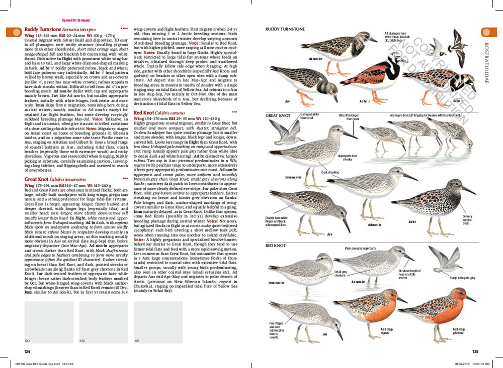 The Australian Bird Guide