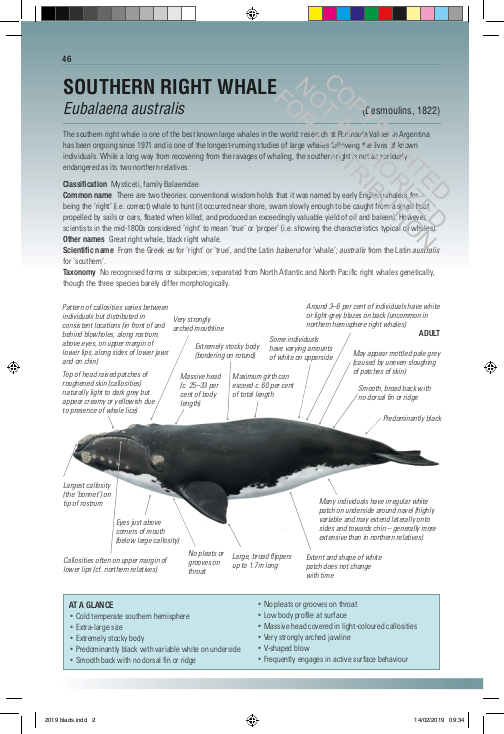 Handbook of Whales, Dolphins, and Porpoises of the World