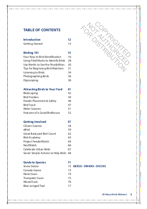 All About Birds Midwest