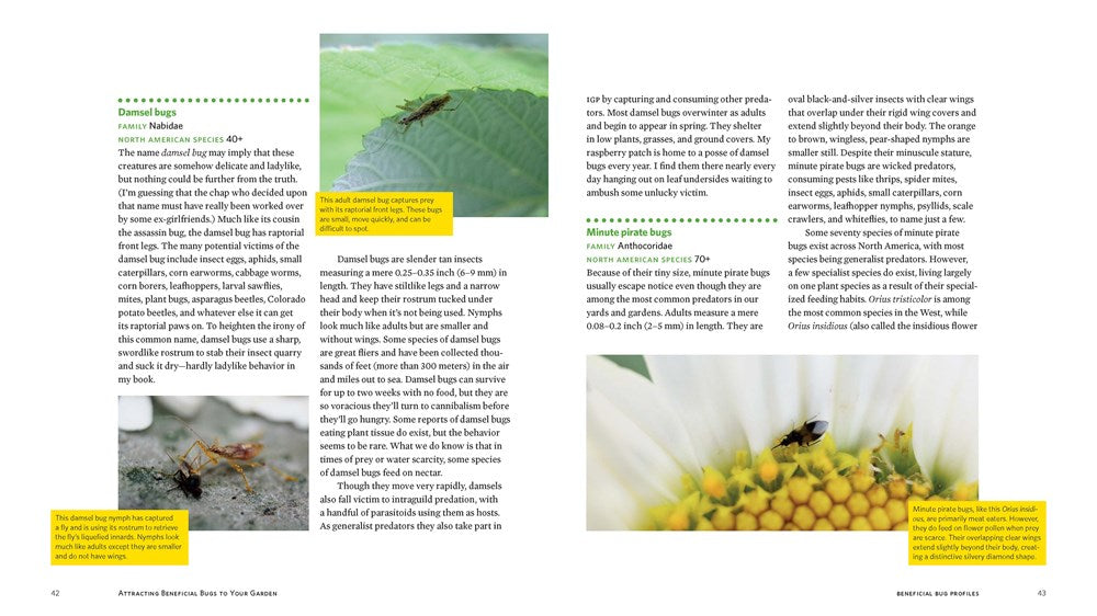 Attracting Beneficial Bugs to Your Garden, Revised and Updated Second Edition
