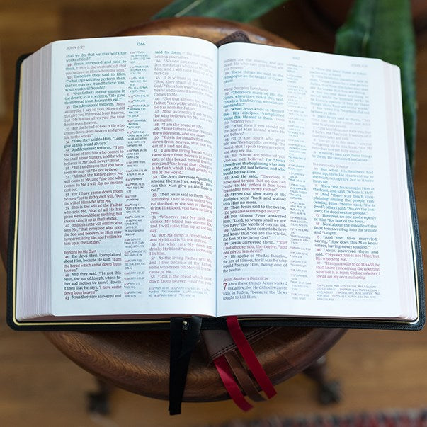 NKJV, Reference Bible, Classic Verse-by-Verse, Center-Column, Premium Goatskin Leather, Brown, Premier Collection, Red Letter, Comfort Print