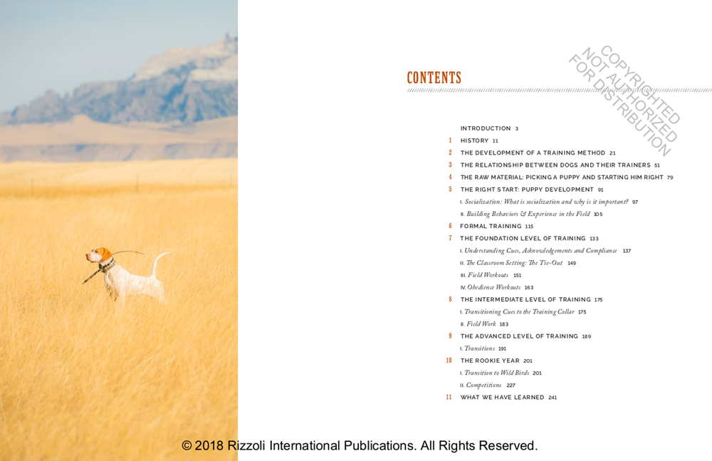 Training Bird Dogs with Ronnie Smith Kennels