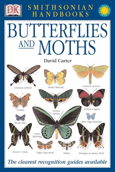 Butterflies & Moths