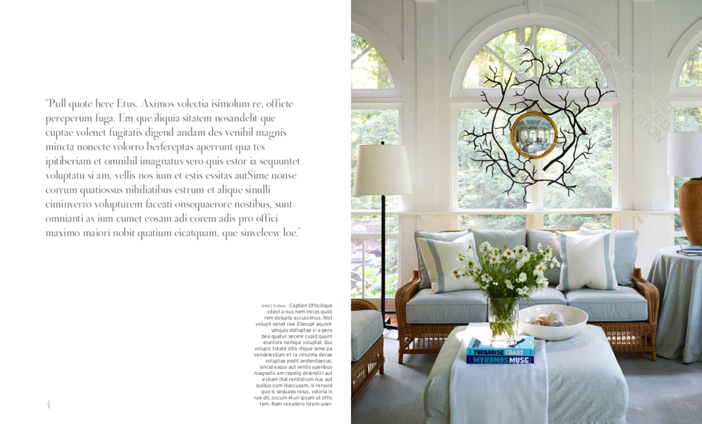 Suzanne Kasler: Edited Style