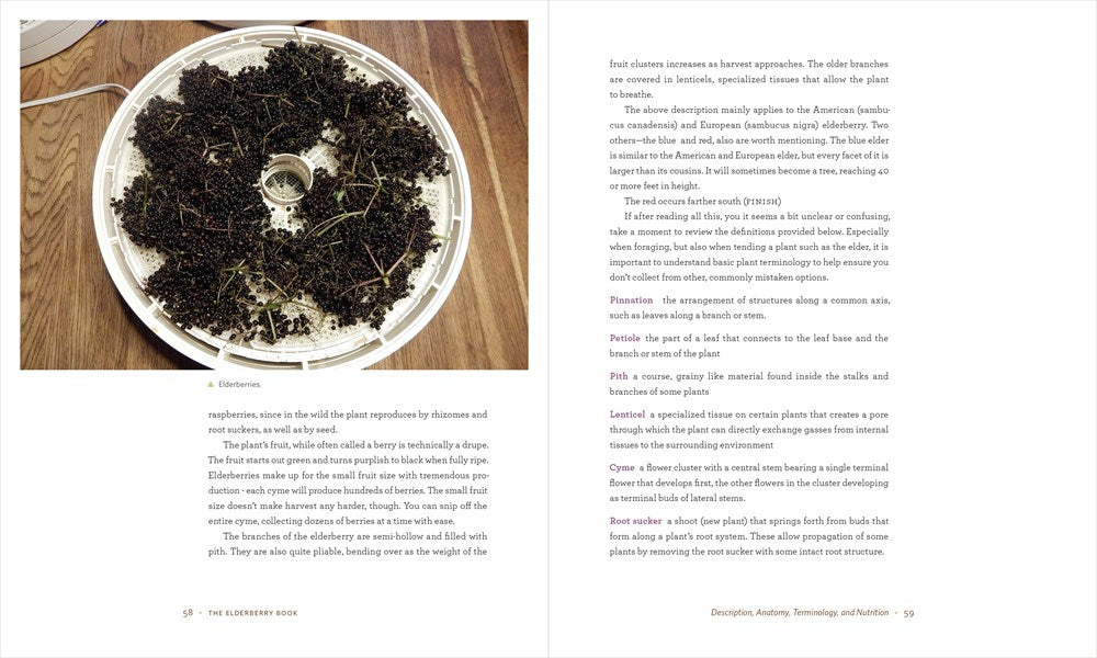 The Elderberry Book