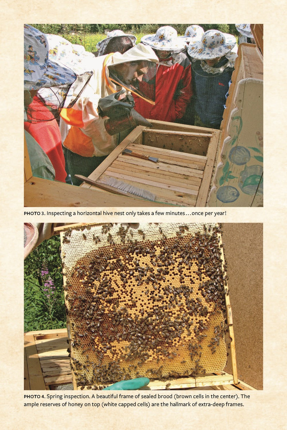 Keeping Bees with a Smile