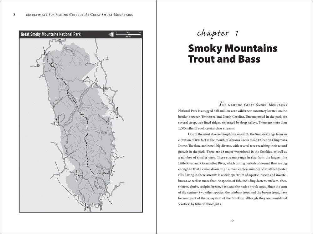 The Ultimate Fly-Fishing Guide to the Great Smoky Mountains