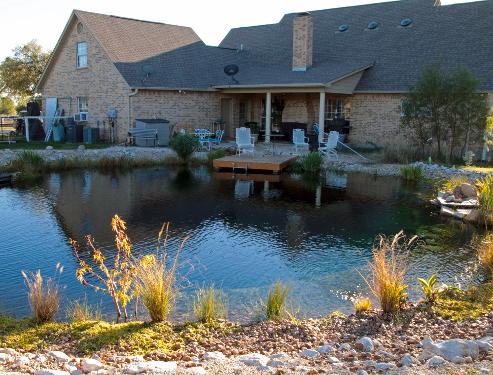 How to Build a Natural Swimming Pool