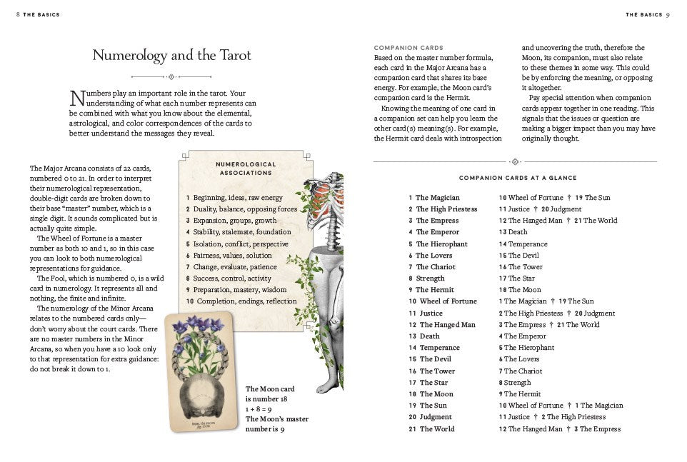 The Antique Anatomy Tarot Kit