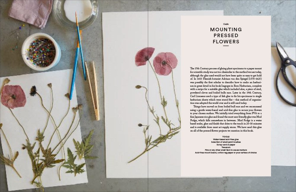 The Modern Flower Press