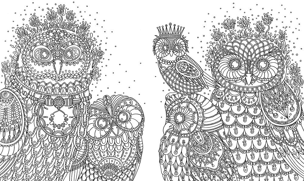 Summer Nights Coloring Book