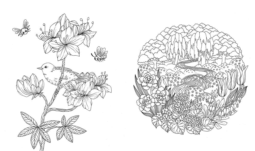 Botanicum Coloring Book