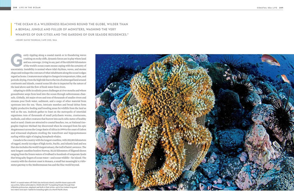 National Geographic Ocean