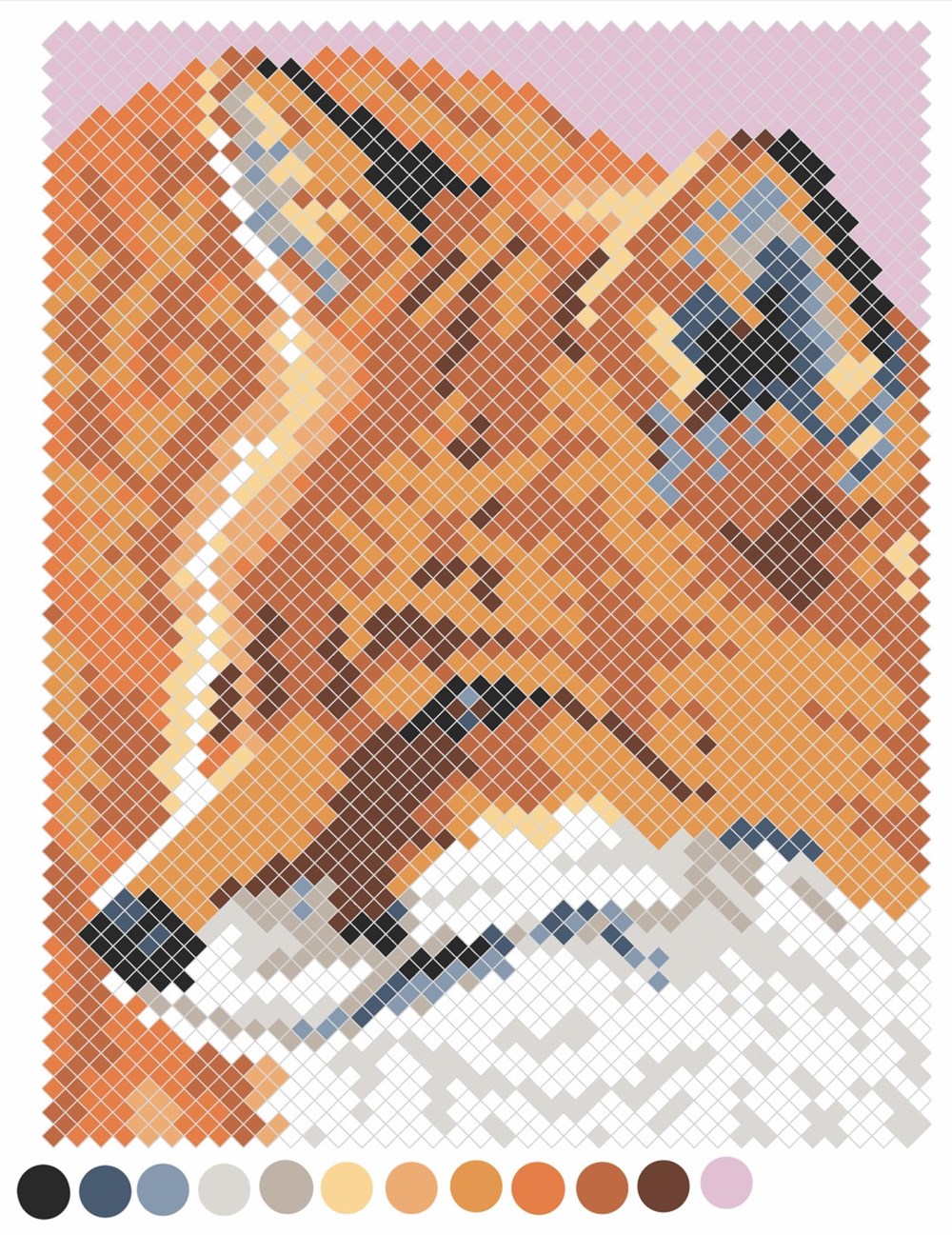 Color Quest: Amazing Animals