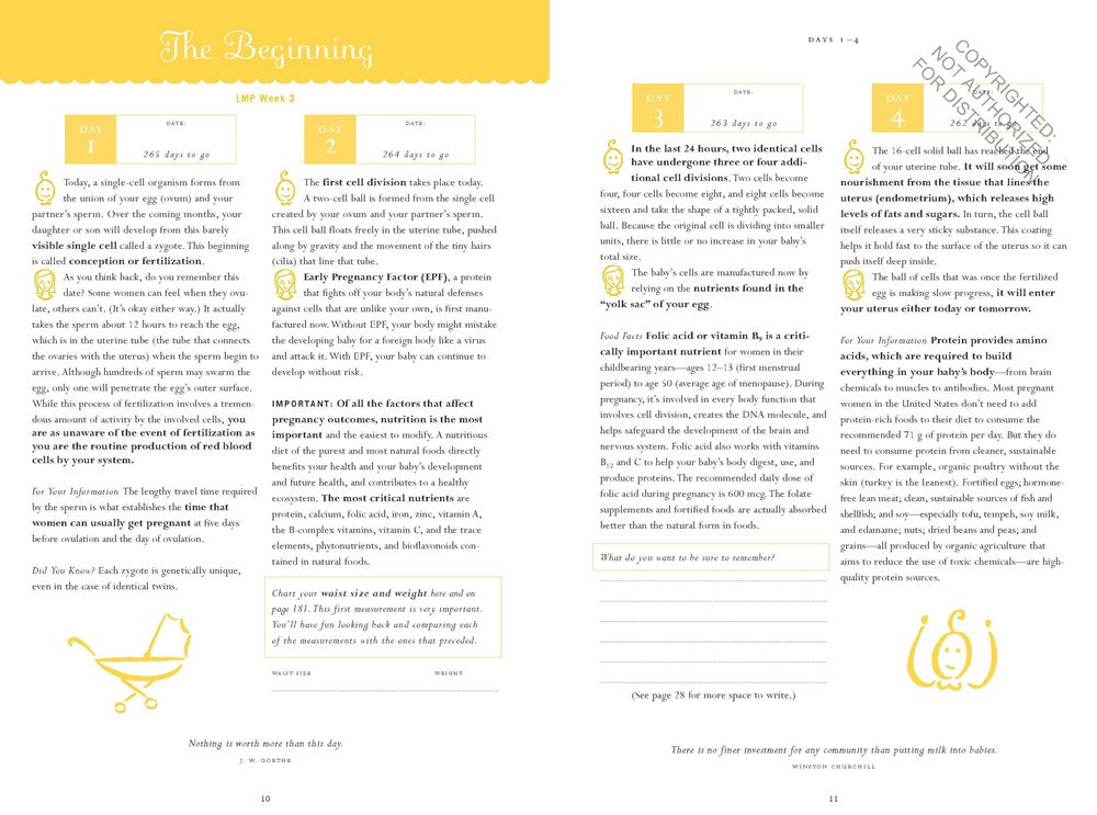 The Pregnancy Journal, 4th Edition