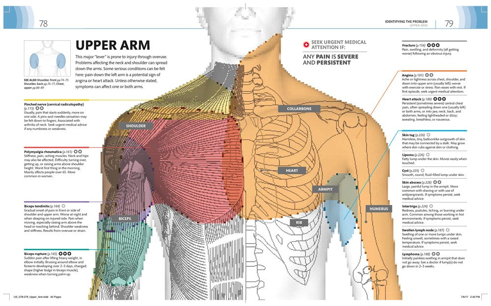 Medical Symptoms: A Visual Guide