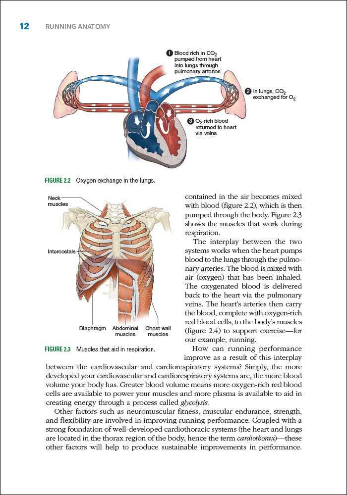 Running Anatomy