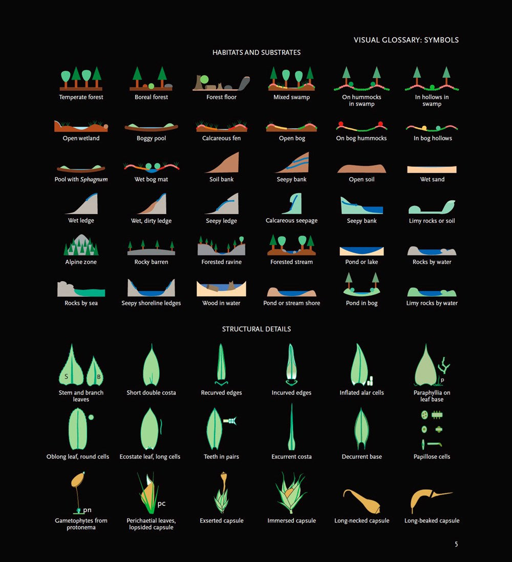 Mosses of the Northern Forest