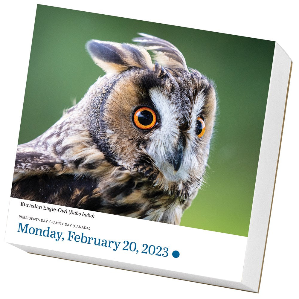 Audubon Birds Page-A-Day Calendar 2023
