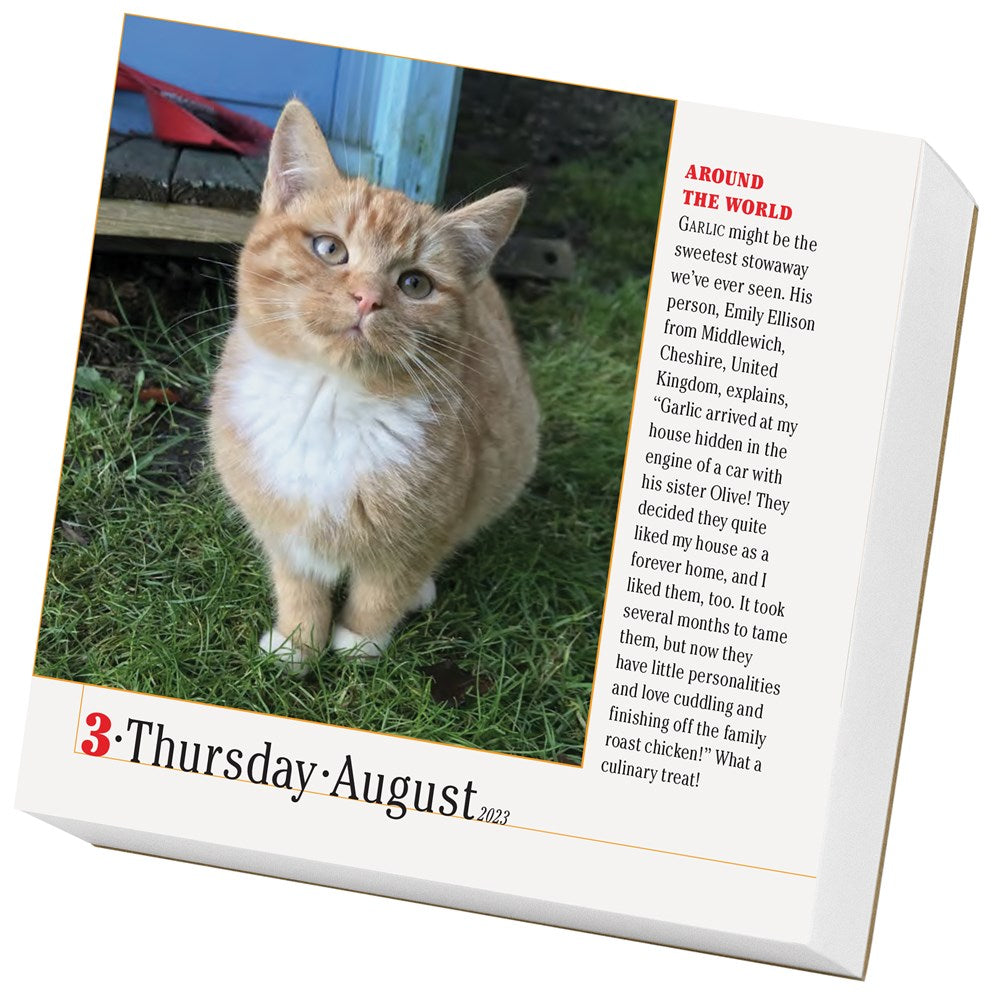 365 Cats Page-A-Day Calendar 2023