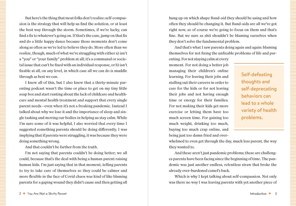 You Are Not a Sh*tty Parent