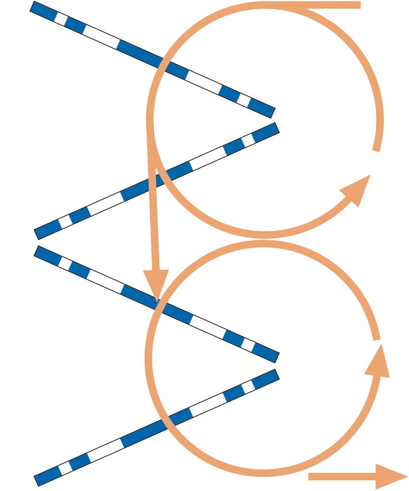 Training and Riding with Cones and Poles
