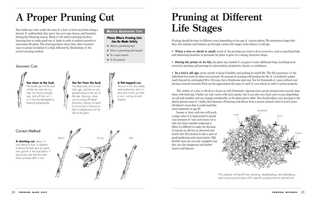 Pruning Made Easy