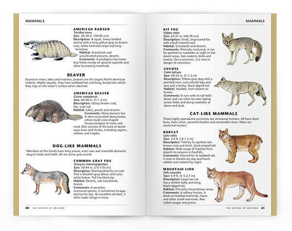 The Nature of Arizona