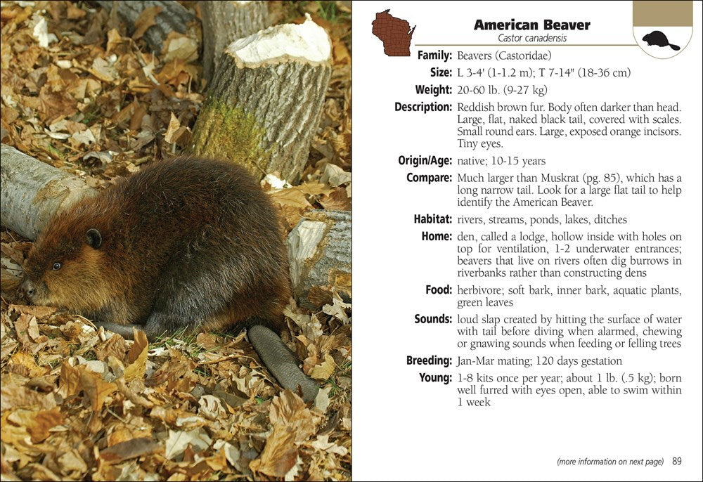 Mammals of Wisconsin Field Guide
