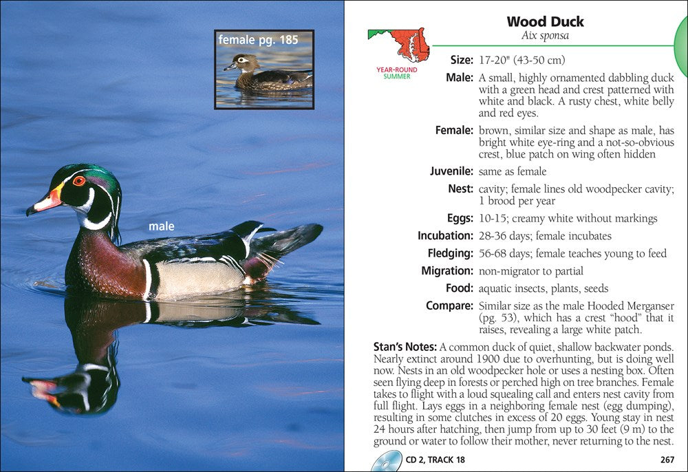 Birds of Maryland & Delaware Field Guide