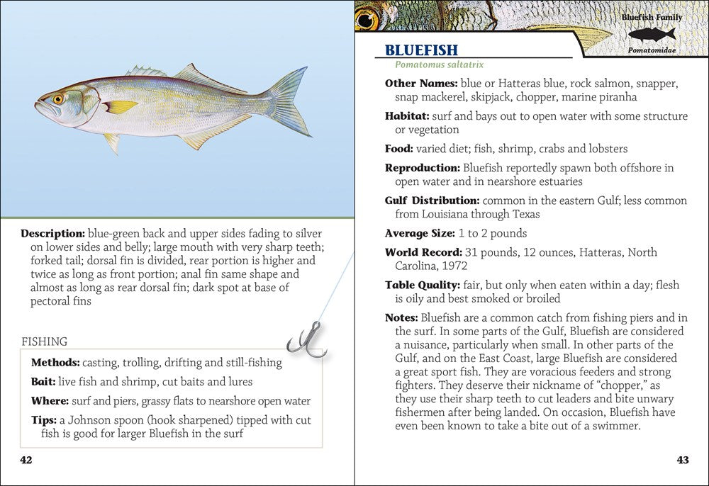 Saltwater Sport Fish of the Gulf Field Guide