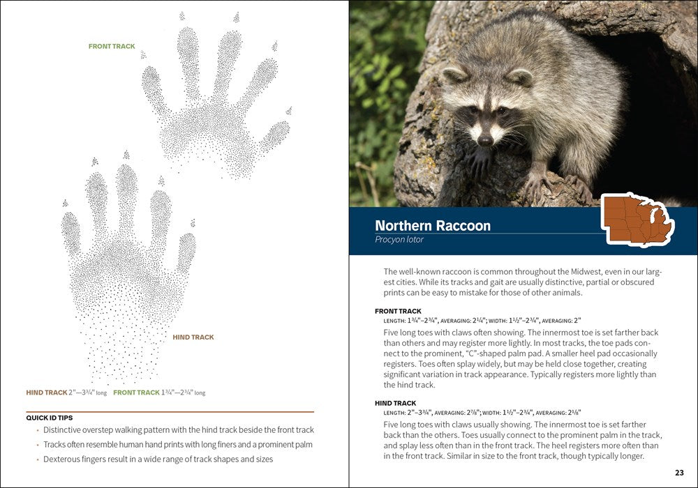 Animal Tracks of the Midwest Field Guide