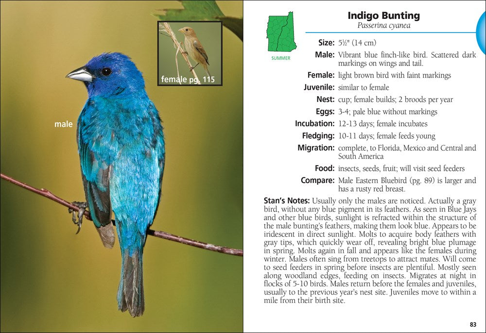 Birds of New Hampshire & Vermont Field Guide