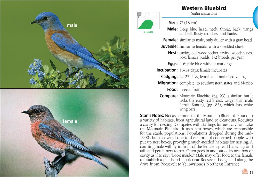Birds of Wyoming Field Guide