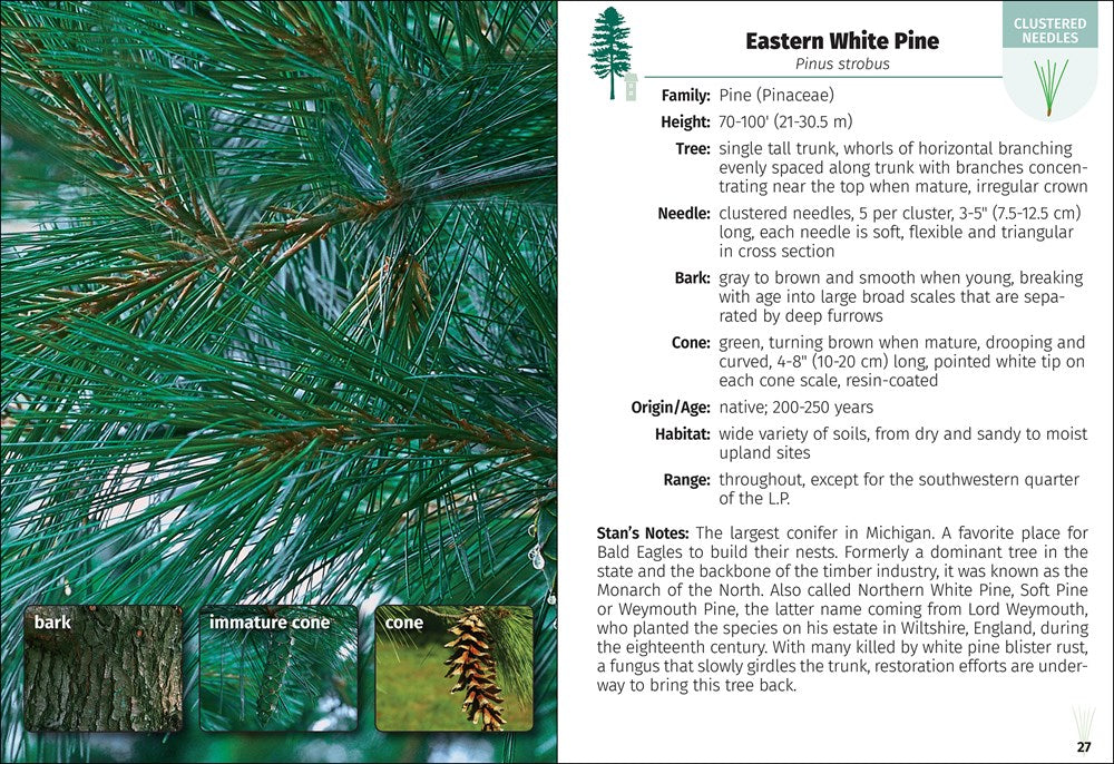 Trees of Michigan Field Guide