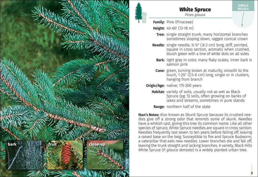 Trees of Minnesota Field Guide