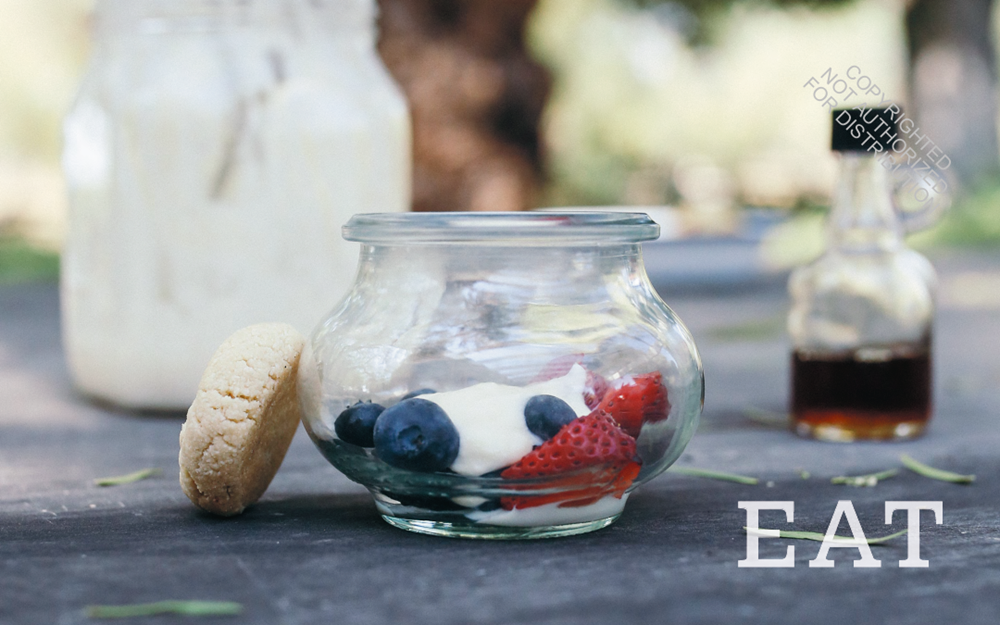 The Children's Heritage Sourcebook