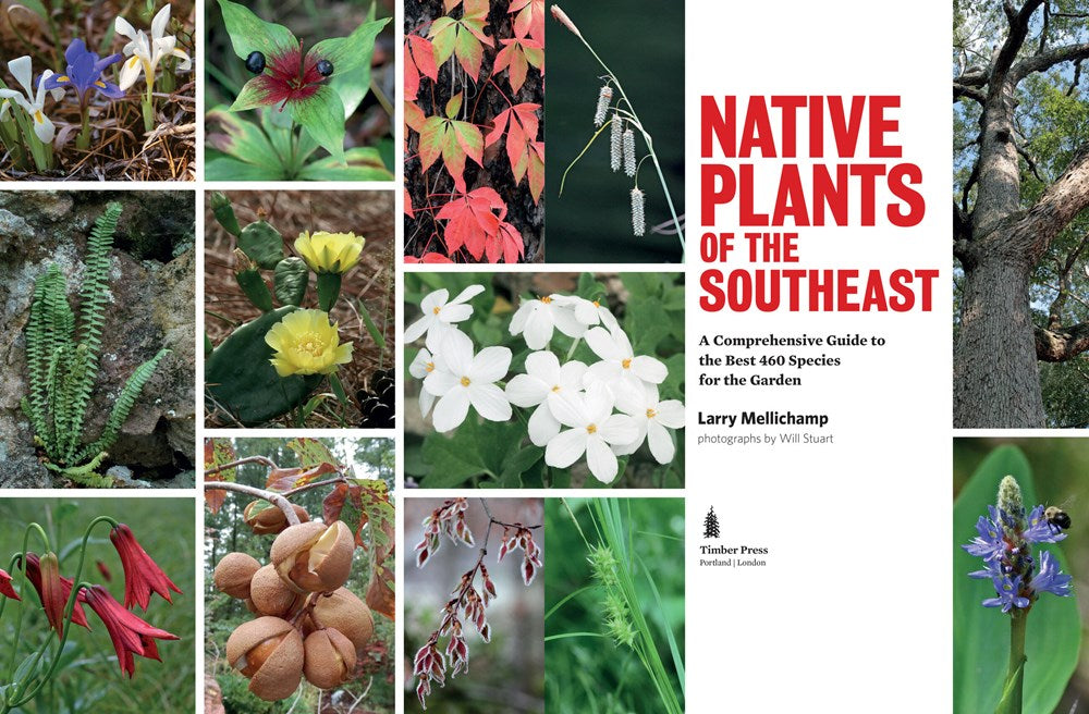 Native Plants of the Southeast