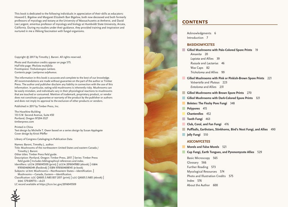 Mushrooms of the Northeastern United States and Eastern Canada