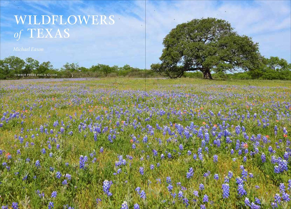 Wildflowers of Texas