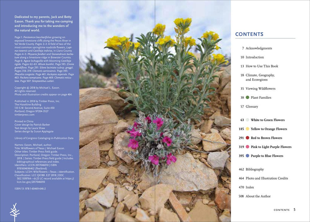 Wildflowers of Texas