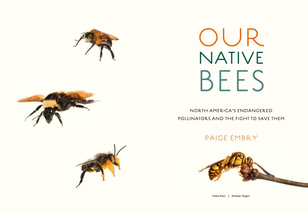 Our Native Bees