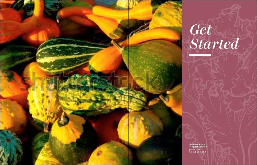 Grow Great Vegetables in Virginia