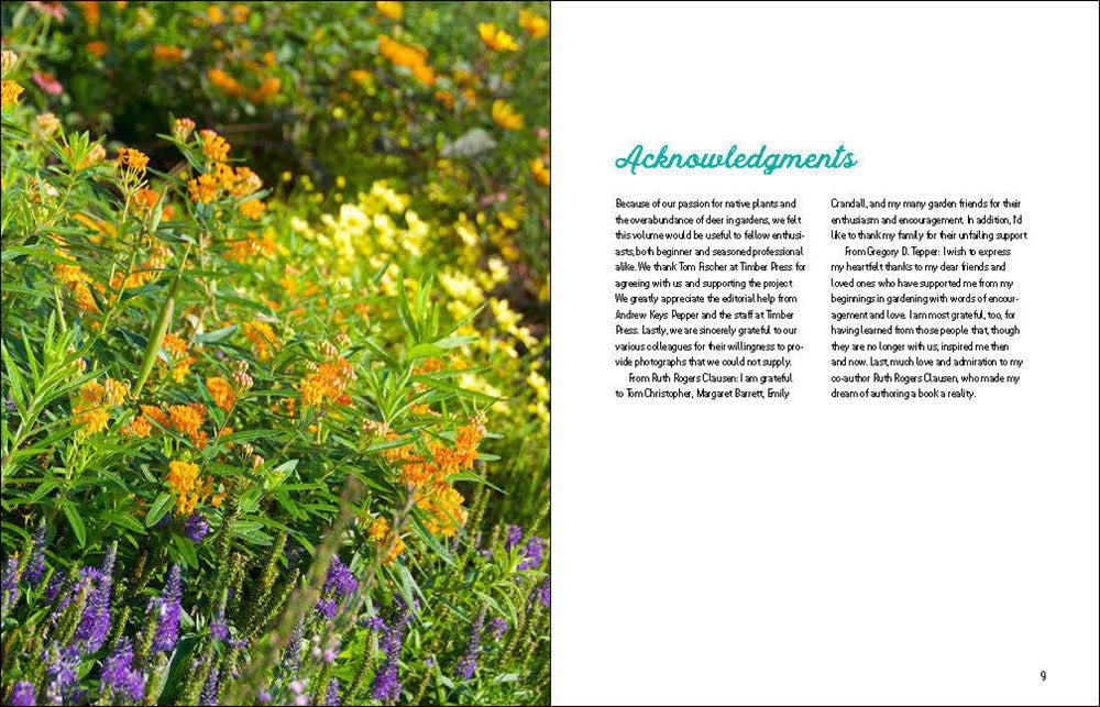 Deer-Resistant Native Plants for the Northeast