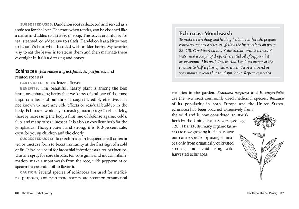 Herbs for Common Ailments