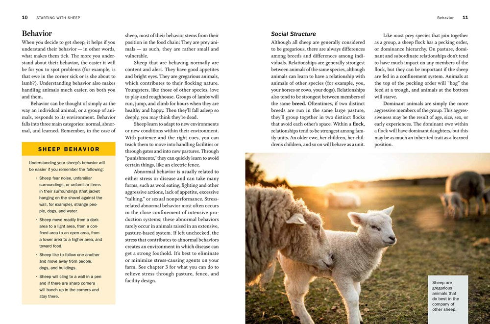 Storey's Guide to Raising Sheep, 5th Edition