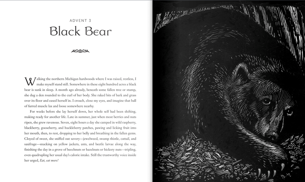 All Creation Waits: The Advent Mystery of New Beginnings