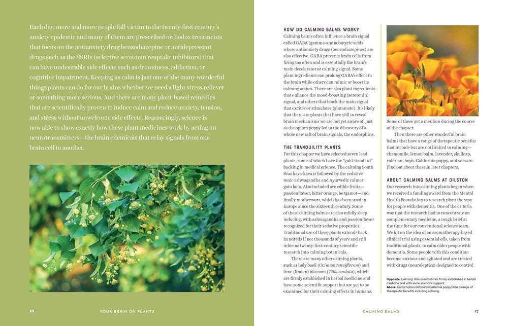 Your Brain on Plants